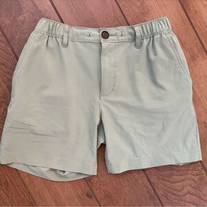 Chubbies Light Green Men’s Shorts 6 Inch Everywhere.